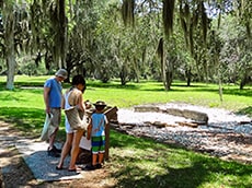 a family standing under oak trees with Spanish moss on the Golden Isles of Georgia
