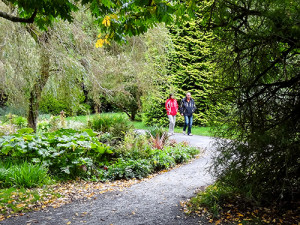a couple on a path walking through a formal garden