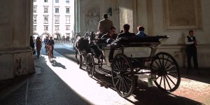 A Quick Tour of Vienna