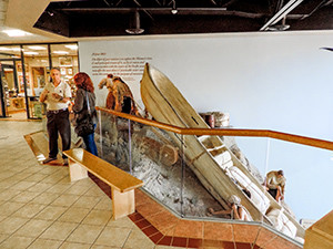 man and women talking near a musum exhibit