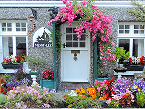 flowers around a house
