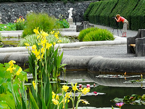 a formal garden