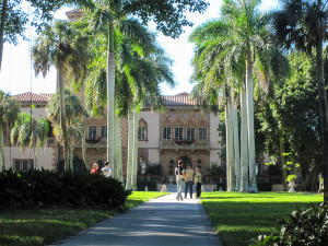 palm trees in front of an old building