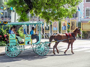 horsedrawn carriage in the Bahamas