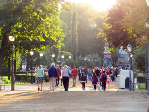 people walking in a park