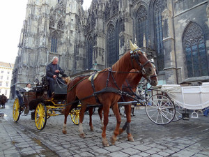 A horsdrawn carriage