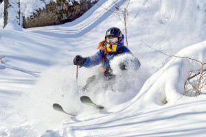 a skier in the Eastern Townships of Quebec