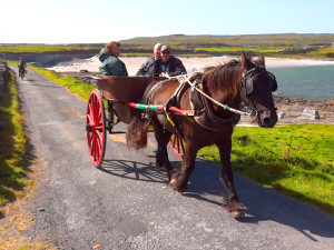 a horse and cart in Ireland