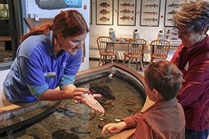 a demonstration in a museum along the Mississippi