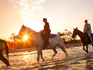 horseback riding 