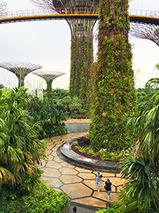 tall towers covered with flowers in a park, one of the things Singapore is famous for
