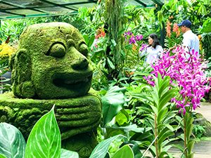 a moss-covered stone head in a garden