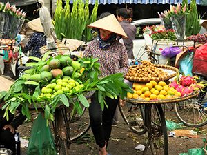 a woman street vendor in Hanoi