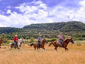 riding horses on teh prairie 