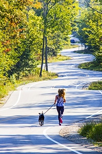 woman walking a dog on road 