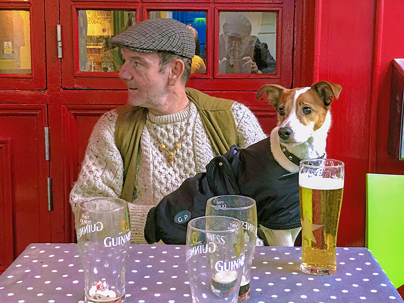 a man and his dog at a pub - one of the things to do in Galway