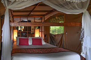 a bed in a tent on safari in kenya