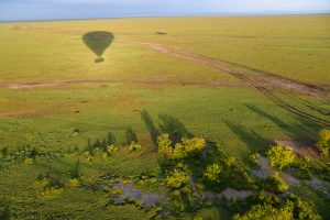 shadow of a hot-air balloon over Maasai Mara on safari in kenya