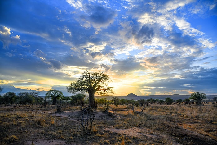sunset on a plain in Tanzania
