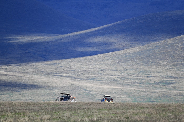 jeeps on a plain in Tanzania