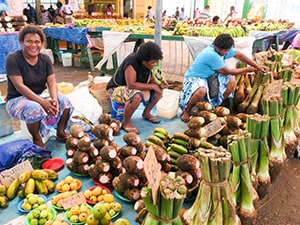 a native market see on a Pacific island