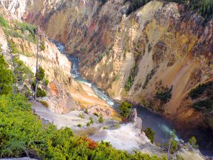 a river in a canyon hot springs seen on a Yellowstone family vacation