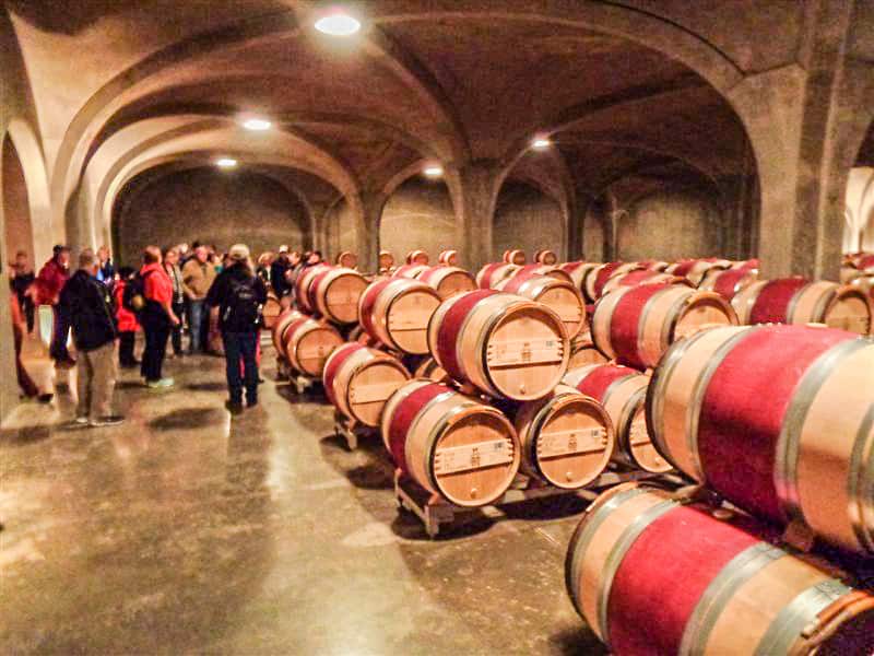 a group of people around wine barrels in a cave
