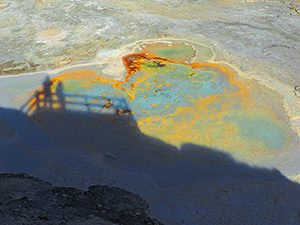 hot springs seen on a Yellowstone family vacation