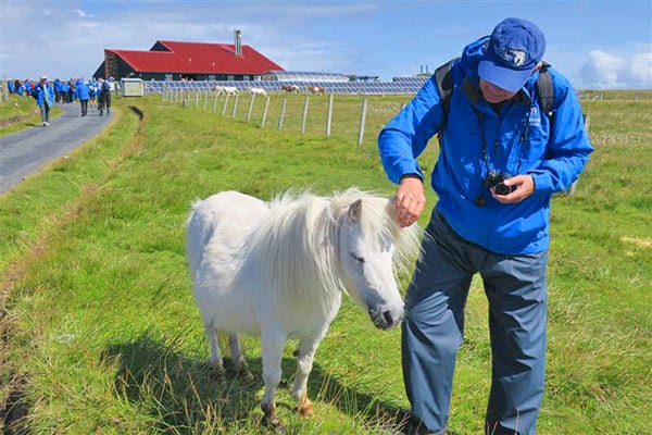 a man with a Shetland Pony