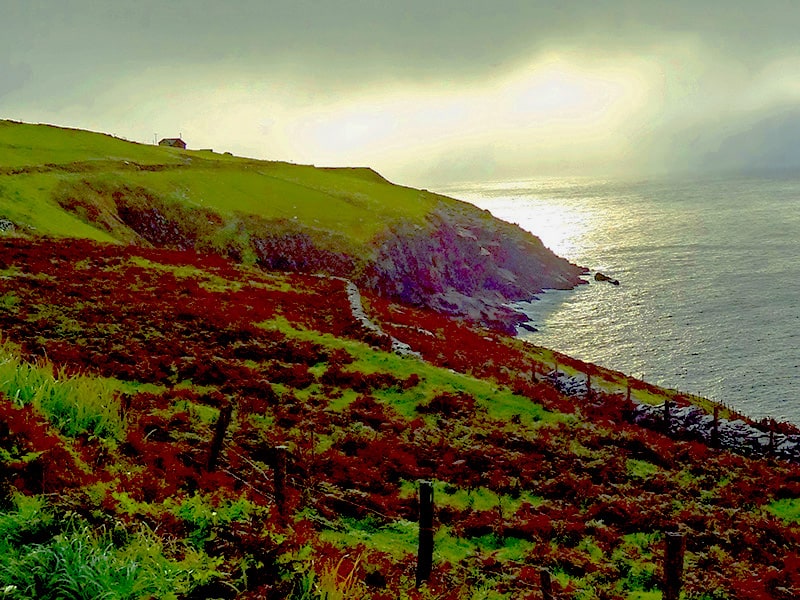fog on cliffs along the ocean on the Dingle Peninsula - Dingle Ireland