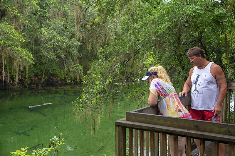 Two people looking into a spring