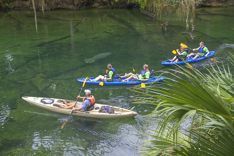 Kayakers in a Florida feshwater spring