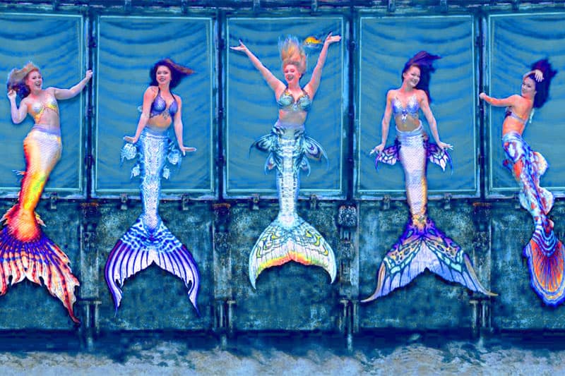 mermaids performing in the waters at Weeki Wachee Springs, among the most popular of Florida's freshwater springs