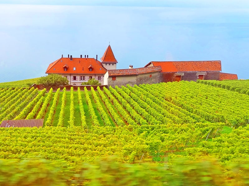 A winery in the Lavaux Vineyard terraces