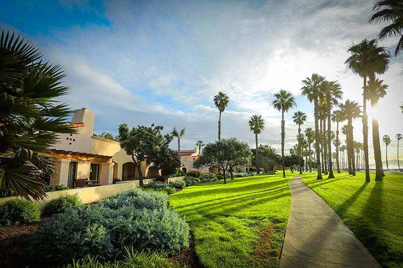 a park-like area with palm trees alongside one of the best hotels in Santa Barbara