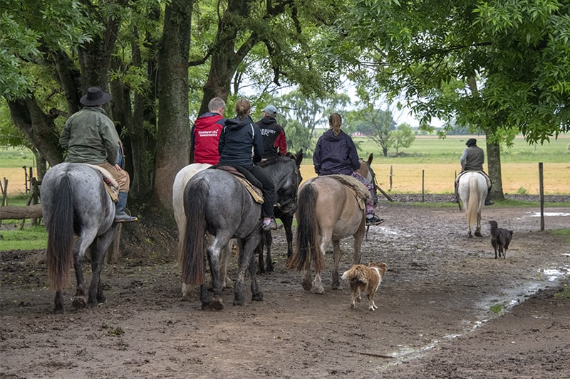 gauchos on horses bring visitors out on the pampas