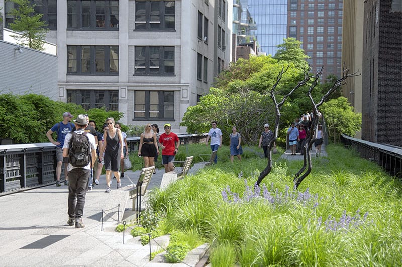 The High Line in New York City, one of the best travel experiences to have in the Big Apple