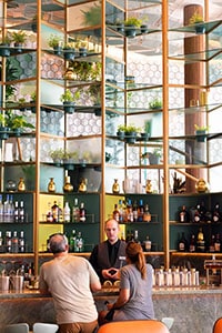 people at a bar on the Celebrity Edge