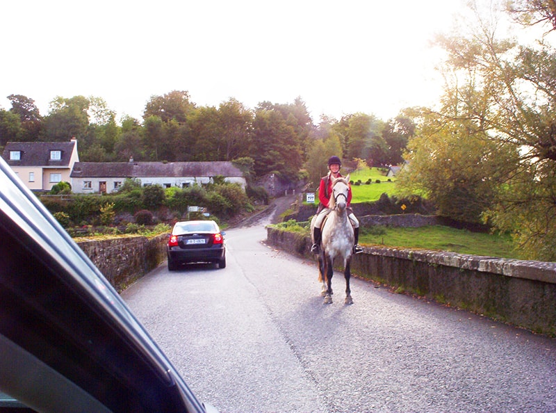 A horse and rider by cars on a road near Kilkenny, one of the great day trips from Dublin