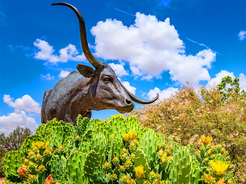 Sculpture of a longhorn bull