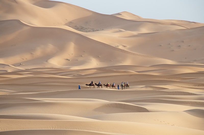 people on a camel trek - one of the things to do In Morocco