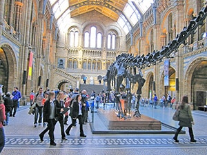 people walking past a dinosaur skeleton in a museum