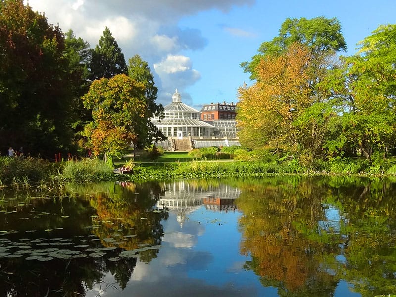 a lake and trees in a park garden