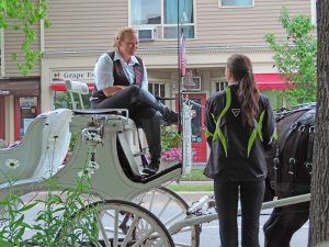 a horsedrawn carriage in Niagara-on-the-Lake