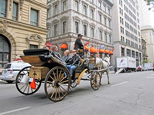 a horse drawn carriage