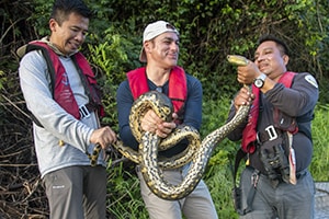 people holind a large snake