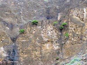 -DSC00284–San Cristobal Island-300√