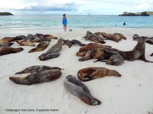 Galapagos island photos