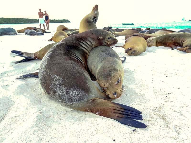 Galapagos island photos