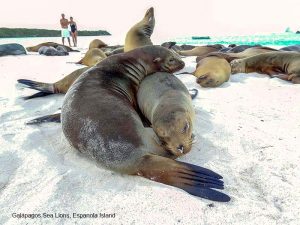 Galapagos island photos